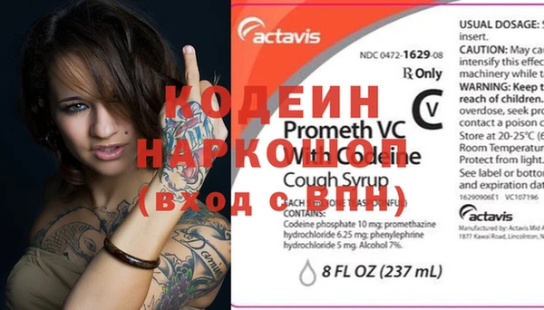 гашик Алексеевка