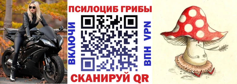 Псилоцибиновые грибы мухоморы  blacksprut ТОР  darknet телеграм  Уяр 