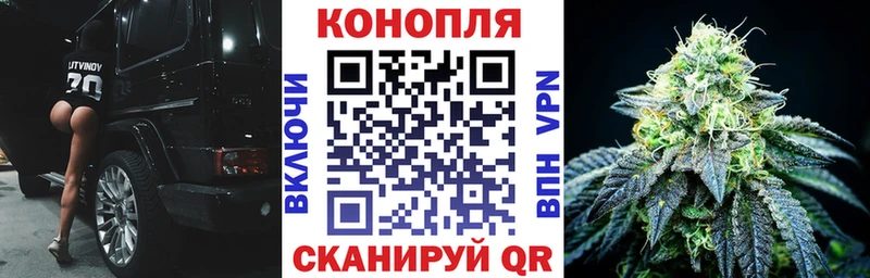 hydra ссылки  Уяр  Каннабис план  продажа наркотиков 